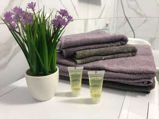 Апартаменты Stylish and comfortable apartment in the center Черкассы Апартаменты с 1 спальней-21