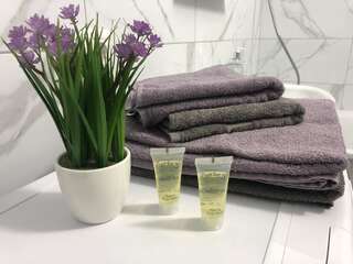Апартаменты Stylish and comfortable apartment in the center Черкассы Апартаменты с 1 спальней-7